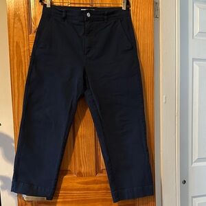 Everlane Women’s Navy Straight Leg Pants